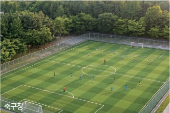 축구장